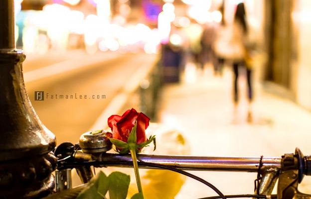 Rose on bike